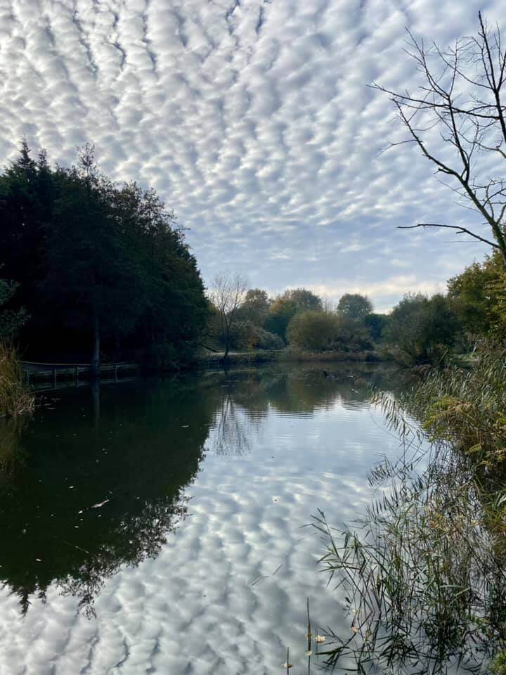 Horsham Fishing Lake