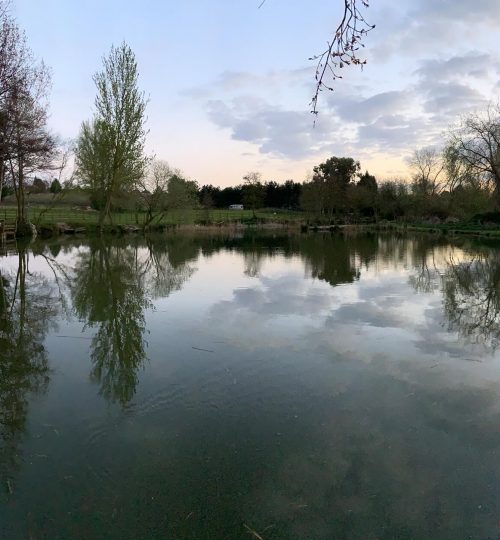 Horsham Fishing Lake