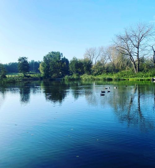 Horsham Fishing Lake