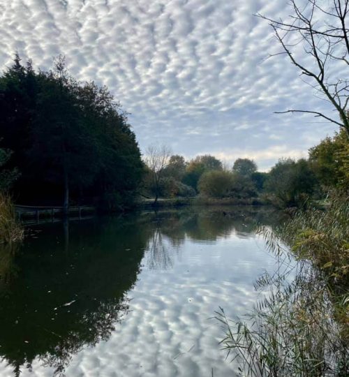 Horsham Fishing Lake