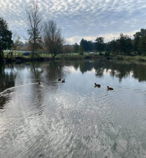 Horsham Fishing Lake